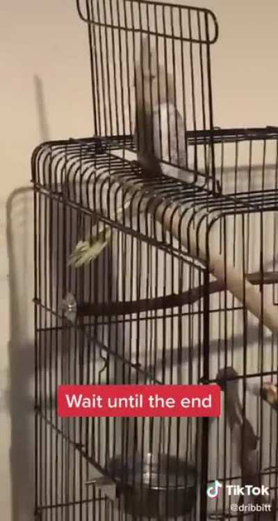The bird was warned