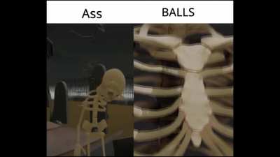Ass vs Balls 😳