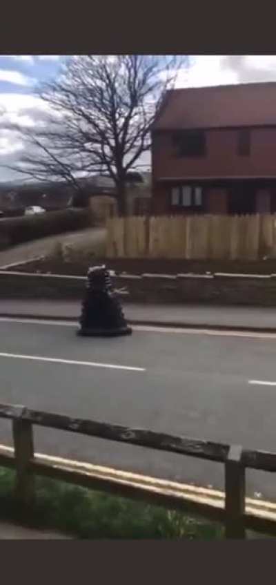 Van the dalek.