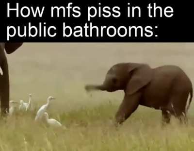 sprays everywhere