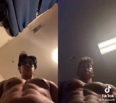 Just some two alpha Males Chilling