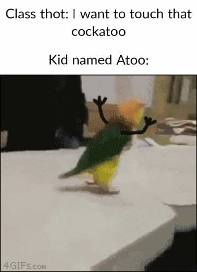 *Happy Atoo noises*