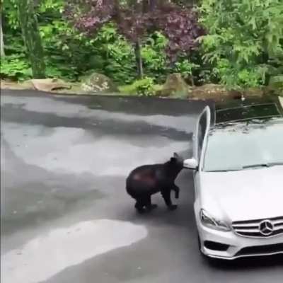 Not the Mercedes!