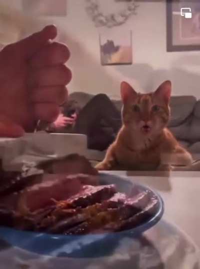 Touch da beef!