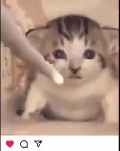 Title