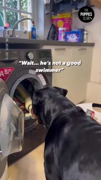 Laundry Day