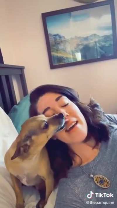 cute doggo