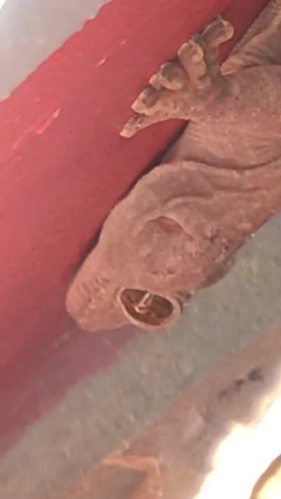 Look how beautiful [Southeast Asia]