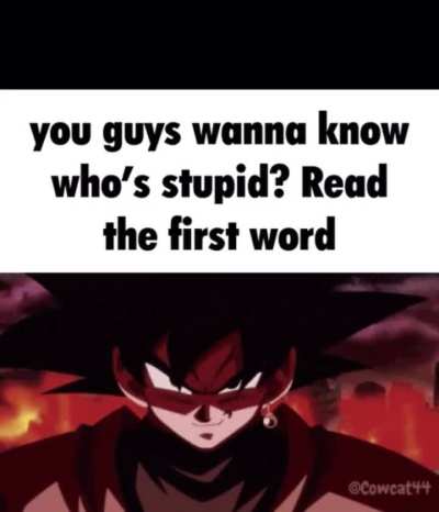 Stupid 
