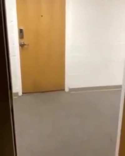 playing with its food
