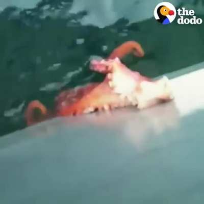 Просо<wbr>чился