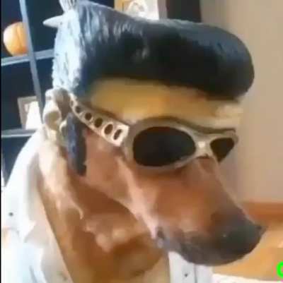 He got that drip