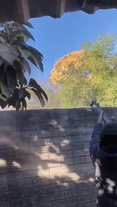 Sicarios trying to shoot down a government aircraft