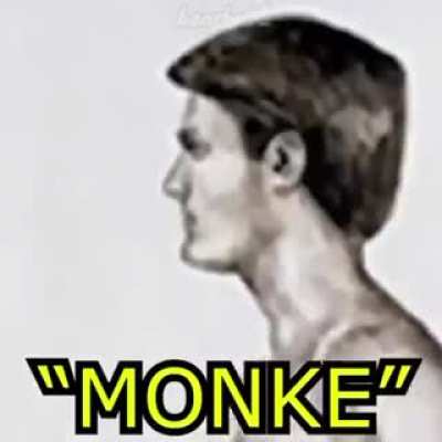 Fuck humanity, become a monke