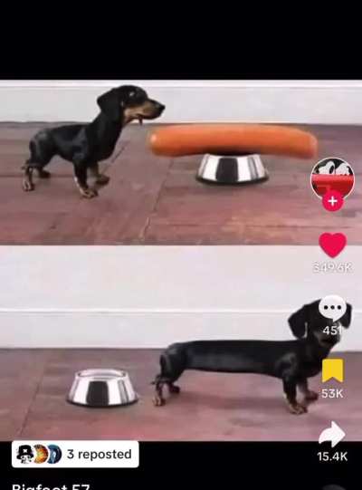ddddgiiueerghfsdite