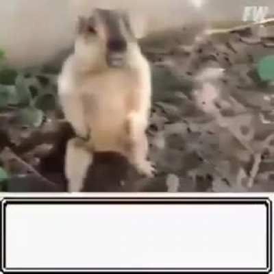 Primeras imagenes de la peli de pokemon en la vida real