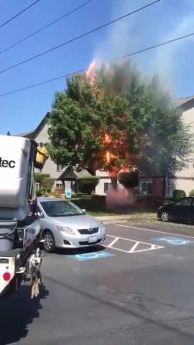 This tree on fire in the middle of this neighborhood