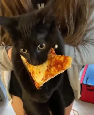 Pizza lover