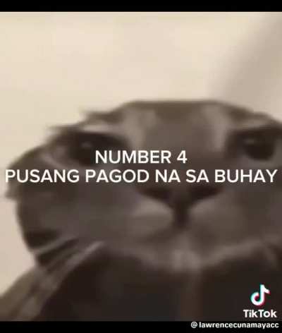 Top 10 pusað¥¶ð±ð±