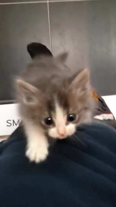 Oha çok tatlı 😍