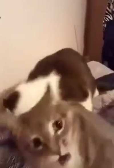 Не переставаю ржать над этим))