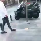 Pigeon lures man into trap