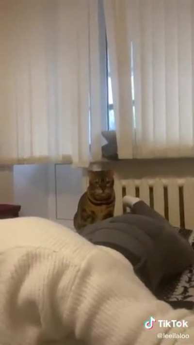 CHOMP