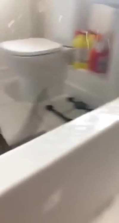 Bubble bath