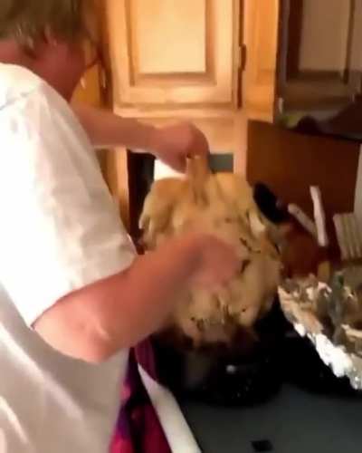 Who's up for pizza tonight