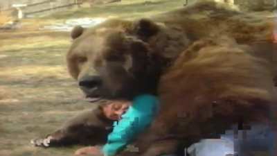 Медвежьи объятия
