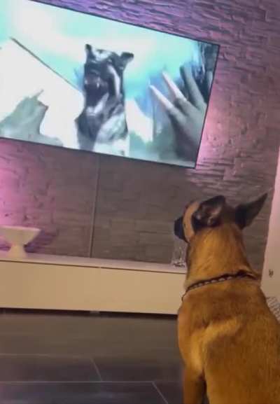 Getting a reaction out of your dog.