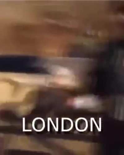 L🤢nd🤮n