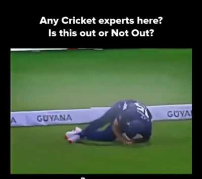 Is it out or not out?