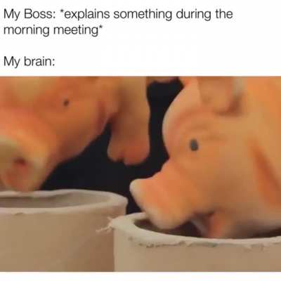 Me_irl