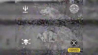 Ukraine's SBS 