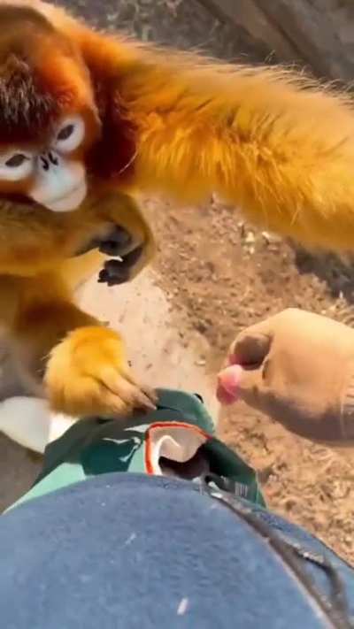 ^_^