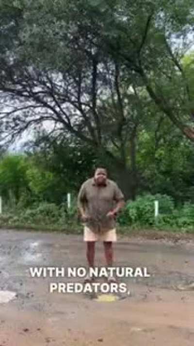 no title needed