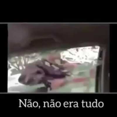 Nop é tudo
