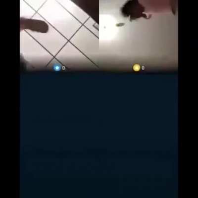 Online fight