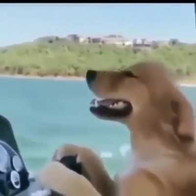 O dia ta lindo
