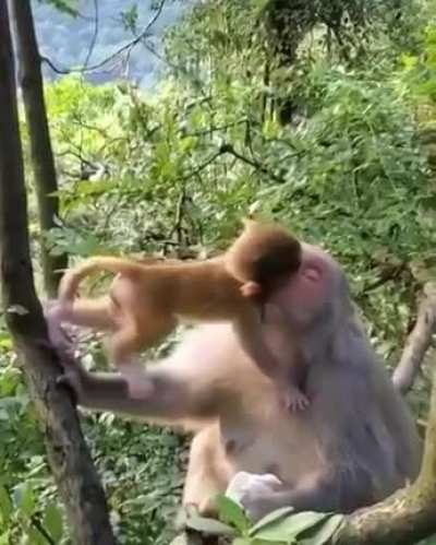 Showing affection for mother