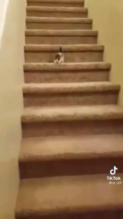What the fuck did I just watch