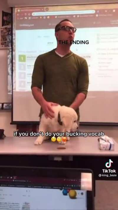 Do your bucking vocab