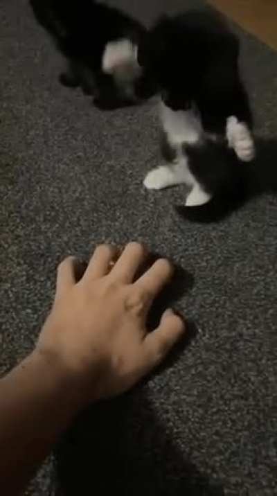 He Almost got me