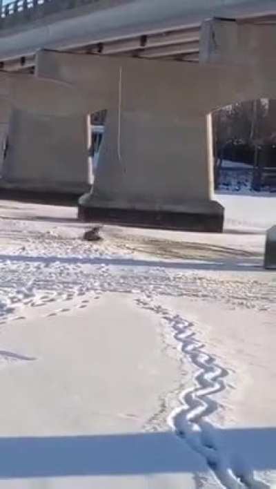 Trying to swing-ski off this bridge