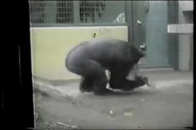 monke spin