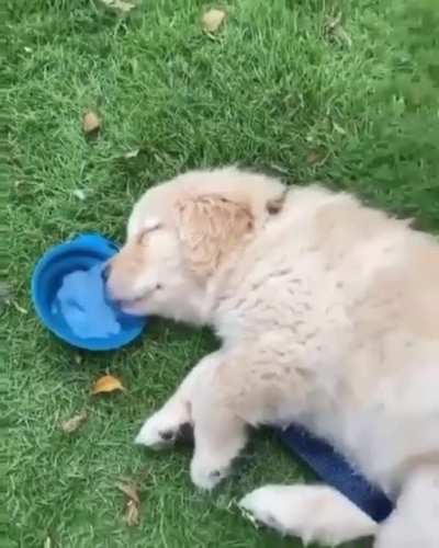 when you are too tired to function
