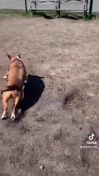 She is speed.
