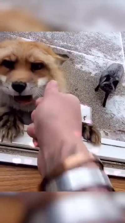 so friendly
