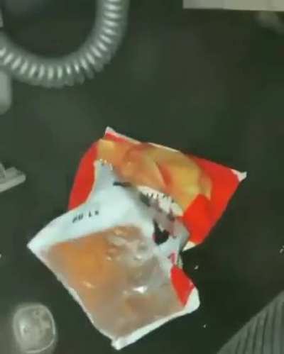 Como ele ta tão calmo?
